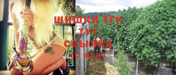 соль курить ск Алзамай