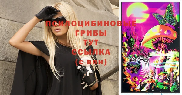 индика Абинск