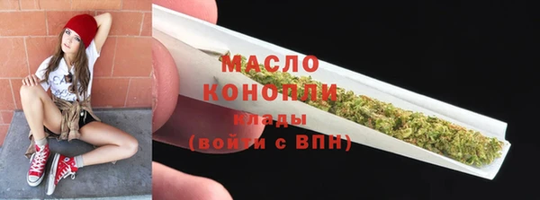 индика Абинск