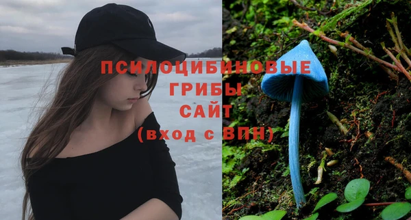 трава Абдулино