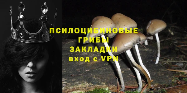 трава Абдулино