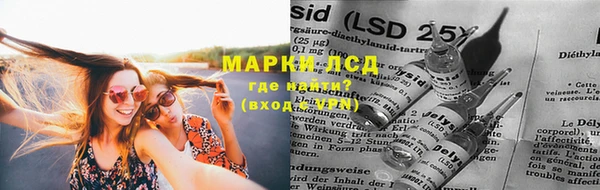 индика Абинск