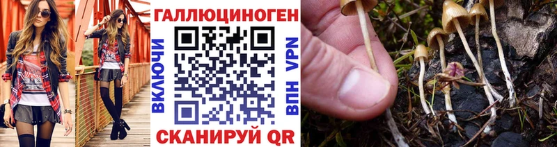 где можно купить   Разумное  Галлюциногенные грибы прущие грибы 